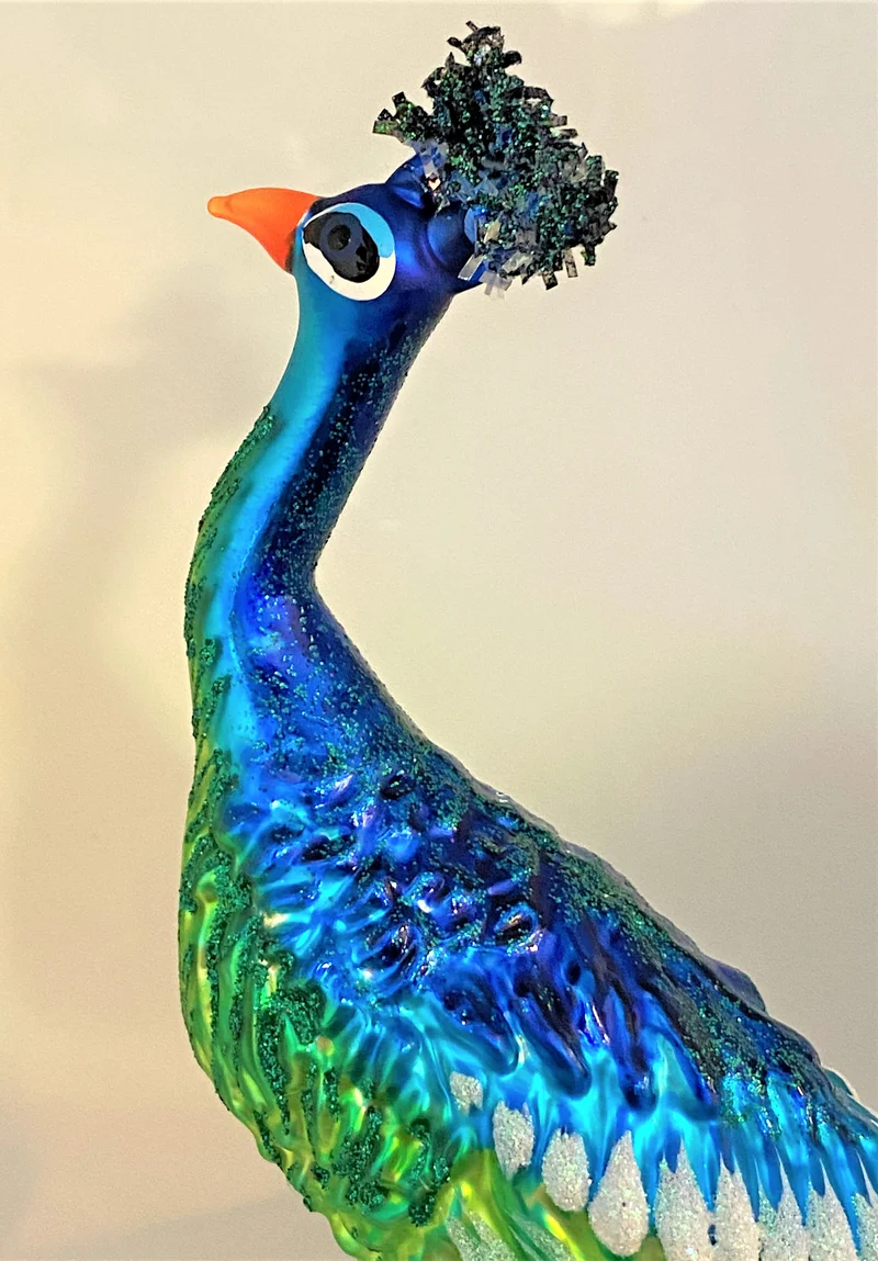 Grosser Pfau auf Clip