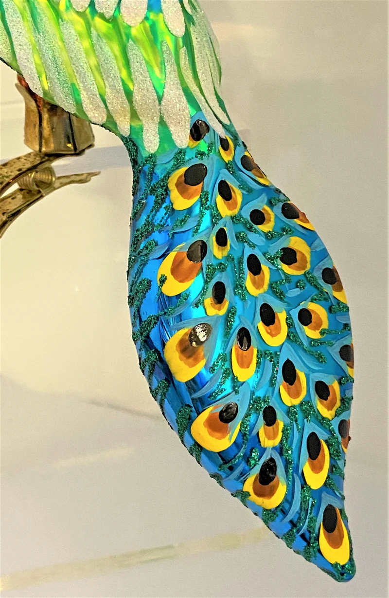 Grosser Pfau auf Clip
