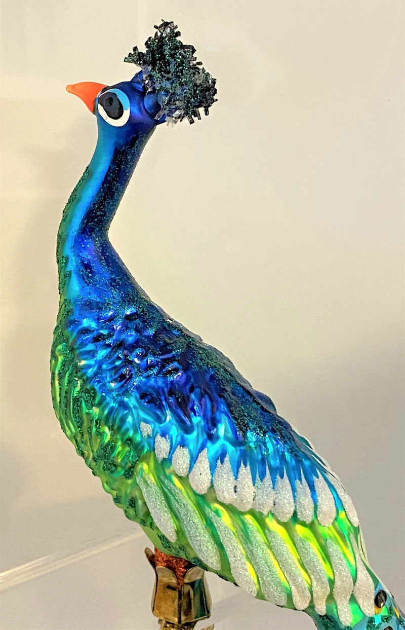 Grosser Pfau auf Clip