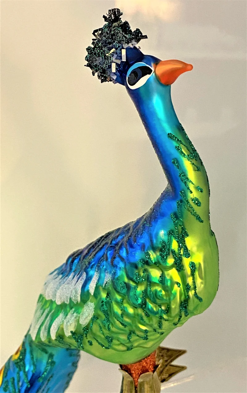 Grosser Pfau auf Clip