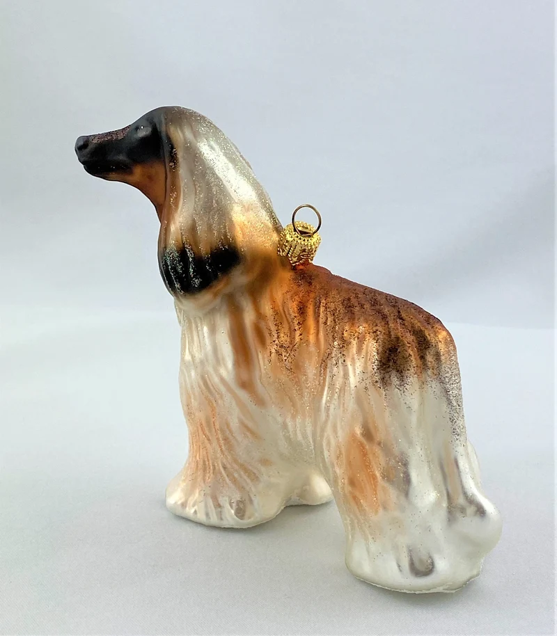Afghane, Windhund