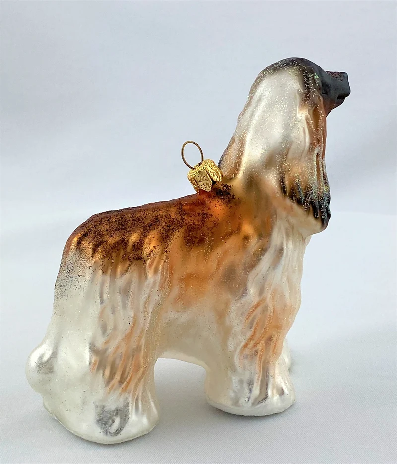 Afghane, Windhund