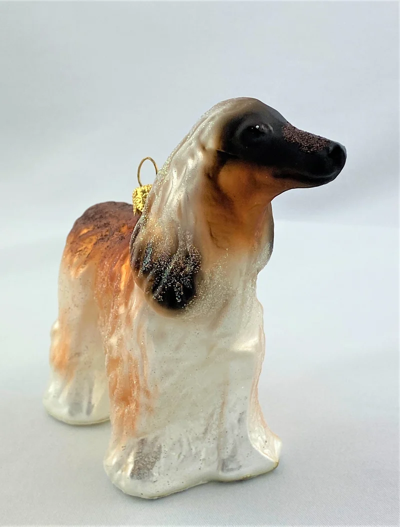 Afghane, Windhund