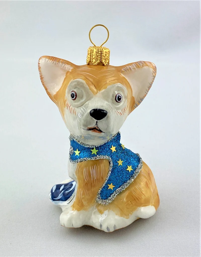 Chihuahua im Sternenmänteli, KOMOZJA MOSTOWSKI