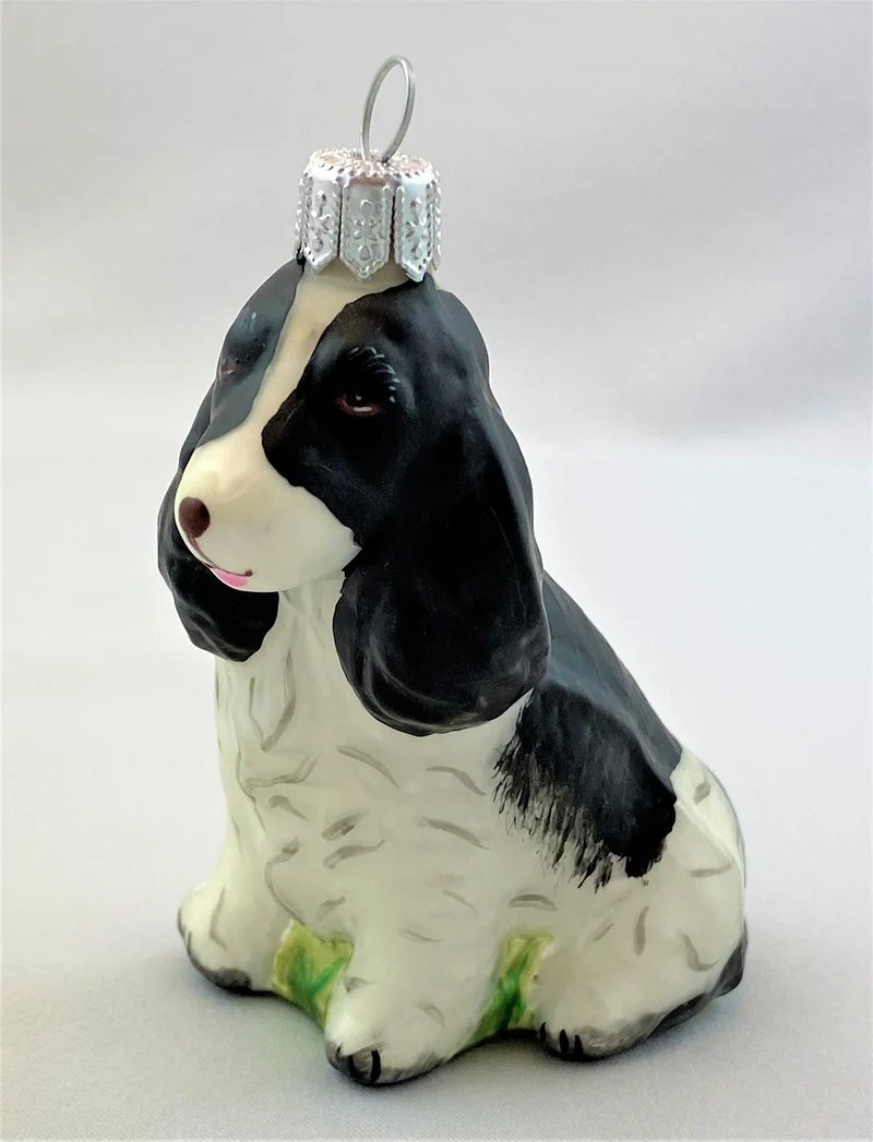 Schwarzweisser Spaniel