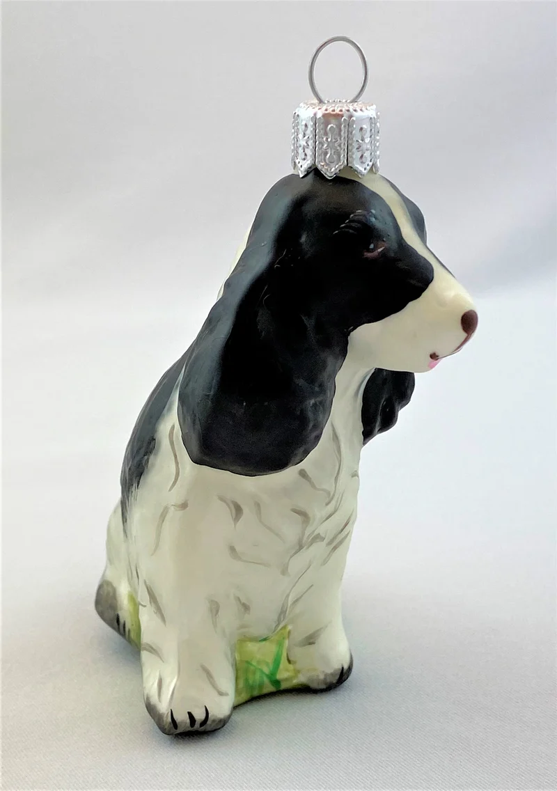 Schwarzweisser Spaniel