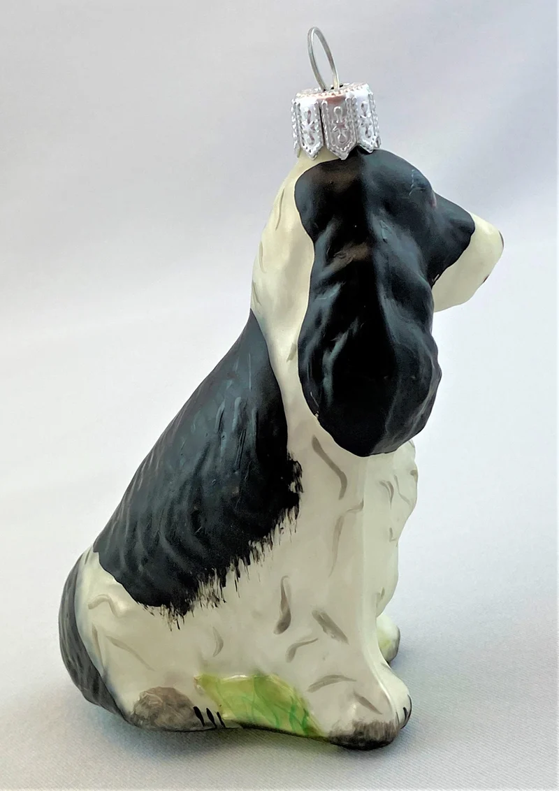 Schwarzweisser Spaniel
