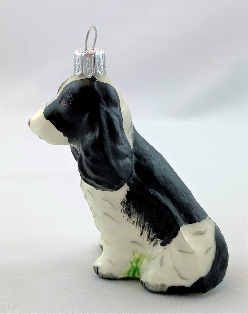 Schwarzweisser Spaniel