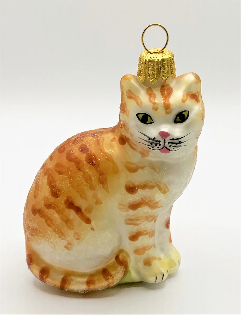 Rote Tiger-Katze mit weissem Bauch