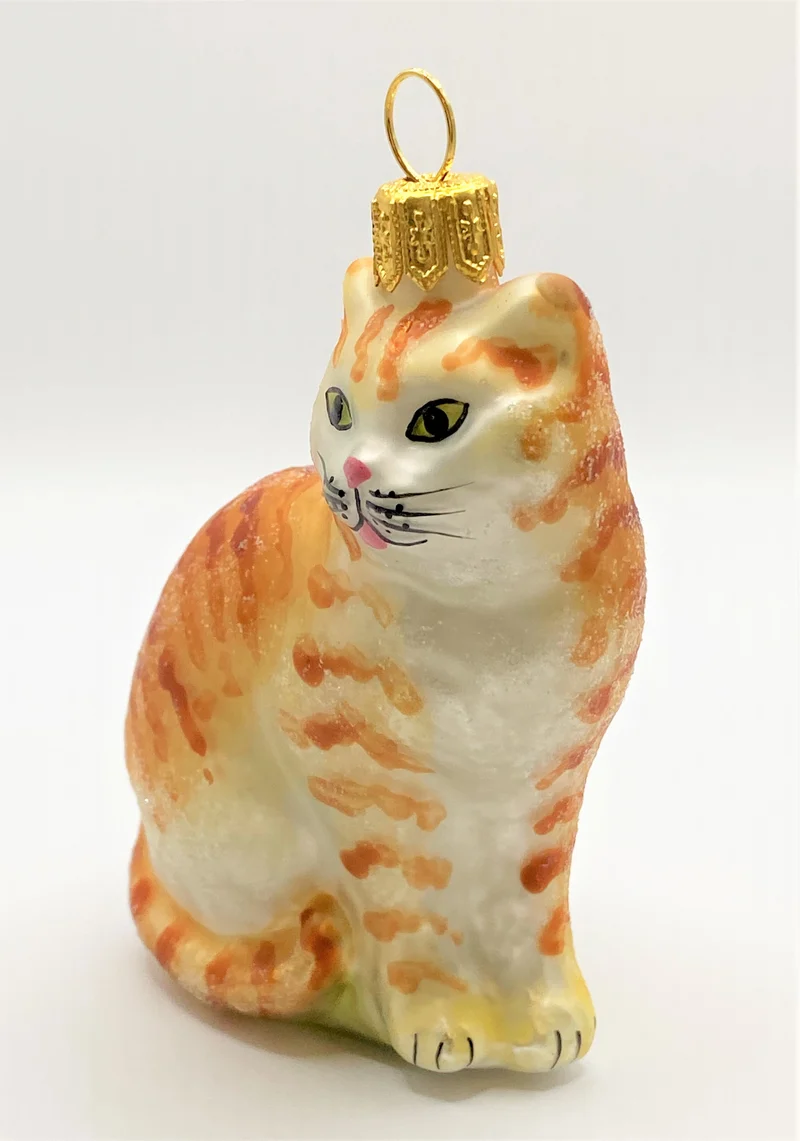 Rote Tiger-Katze mit weissem Bauch