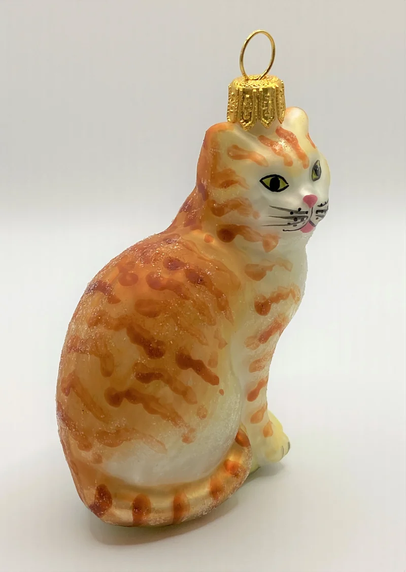 Rote Tiger-Katze mit weissem Bauch