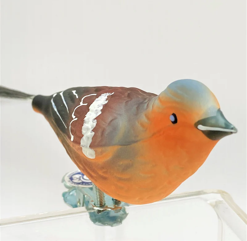Buchfink mit Fiberglasschwänzchen