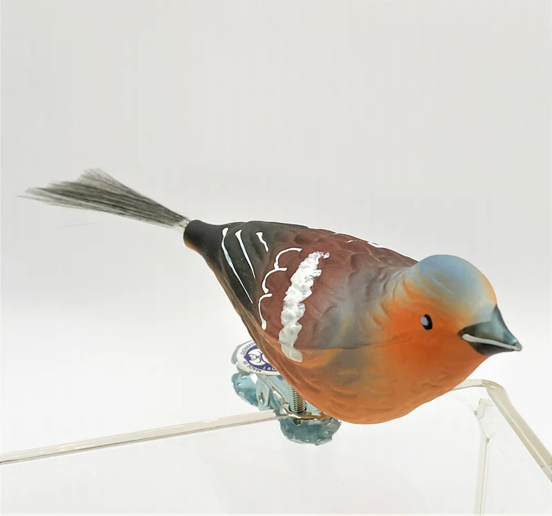 Buchfink mit Fiberglasschwänzchen