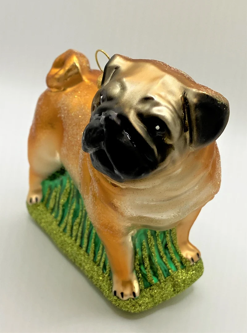 Grosser Mops