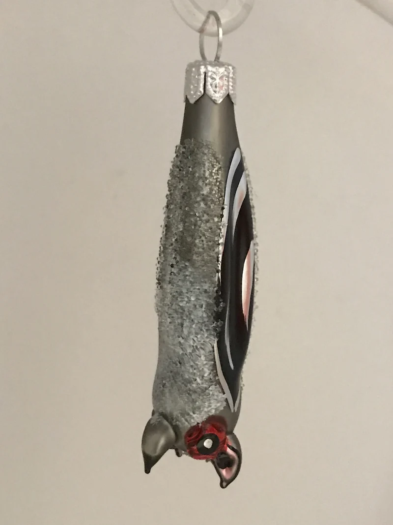 Kleine Fledermaus