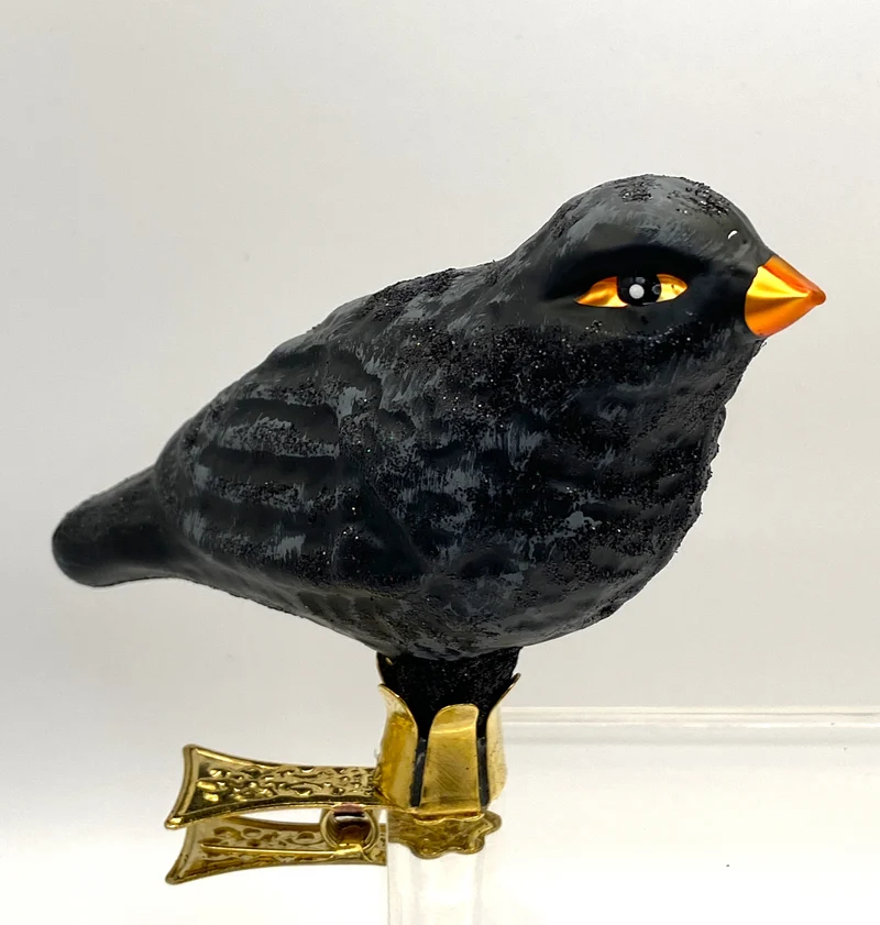 Amsel auf Clip