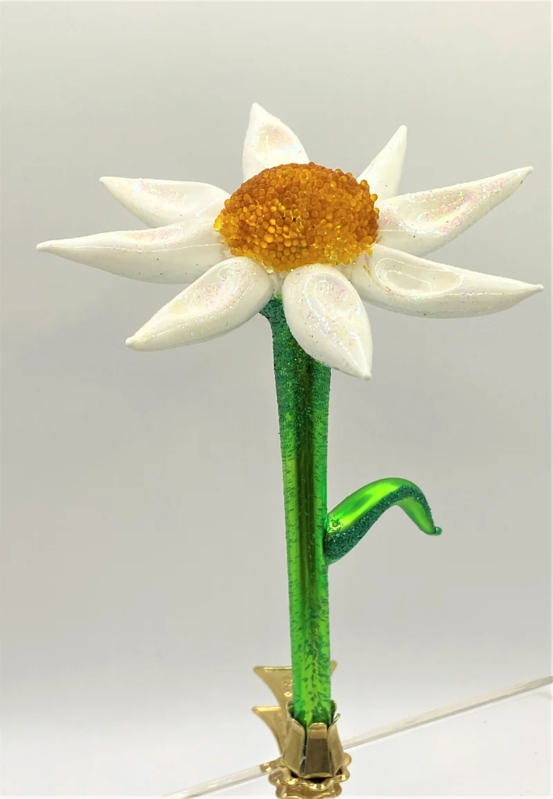 Kamillenblüte auf Clip