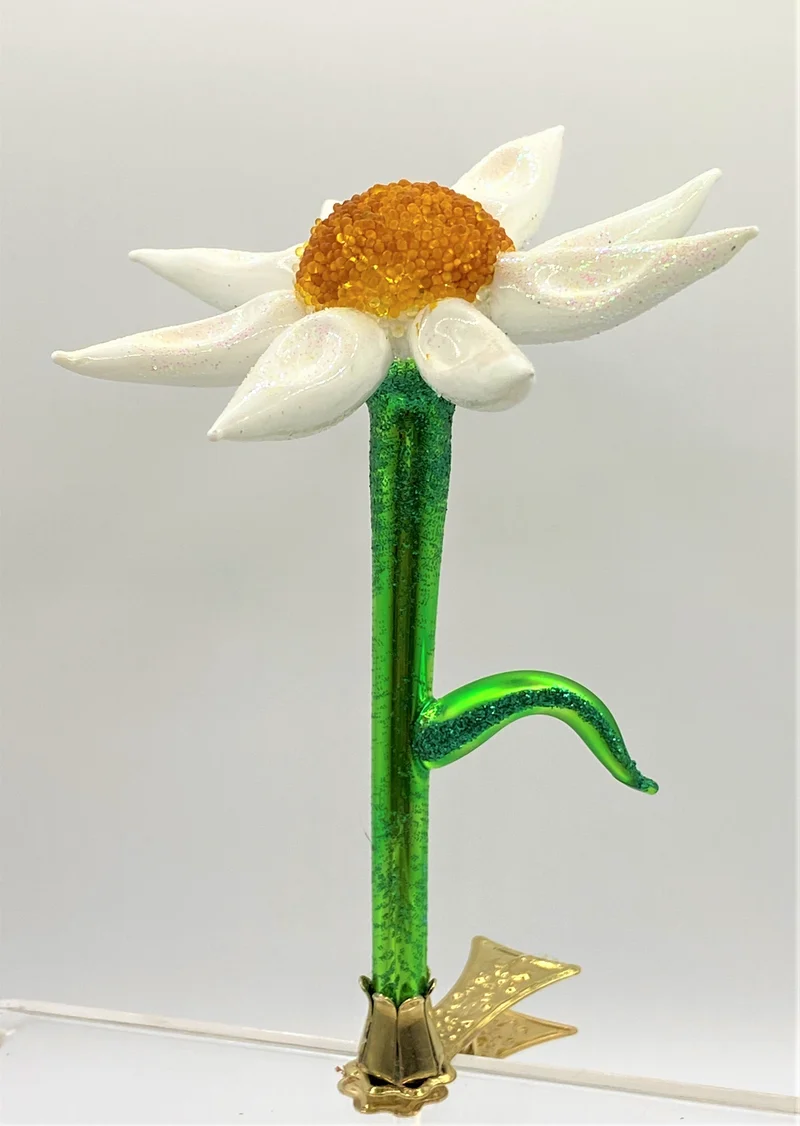 Kamillenblüte auf Clip