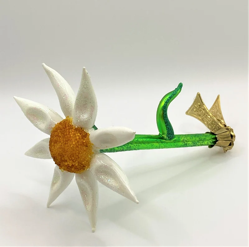 Kamillenblüte auf Clip