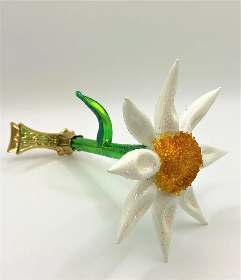 Kamillenblüte auf Clip