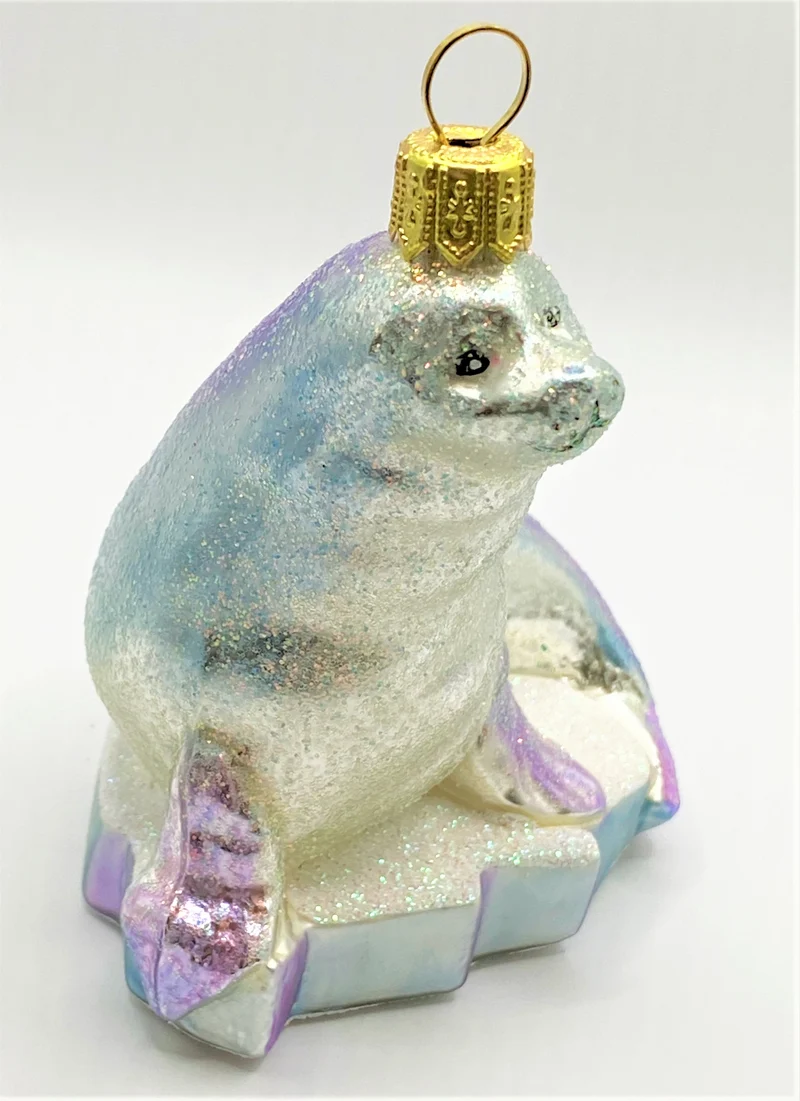 Glitzer Seehund auf Eisscholle