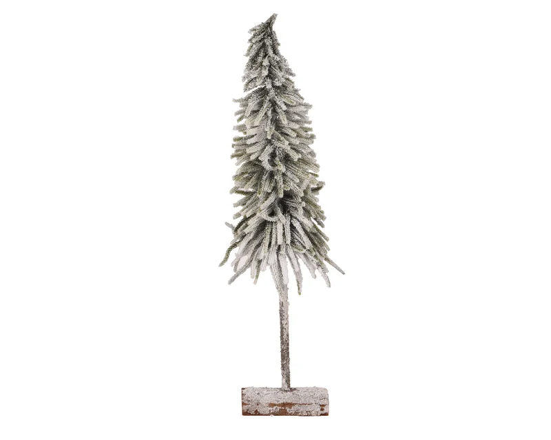 Baum