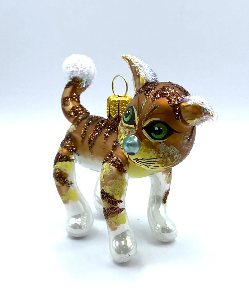 Frecher Kater