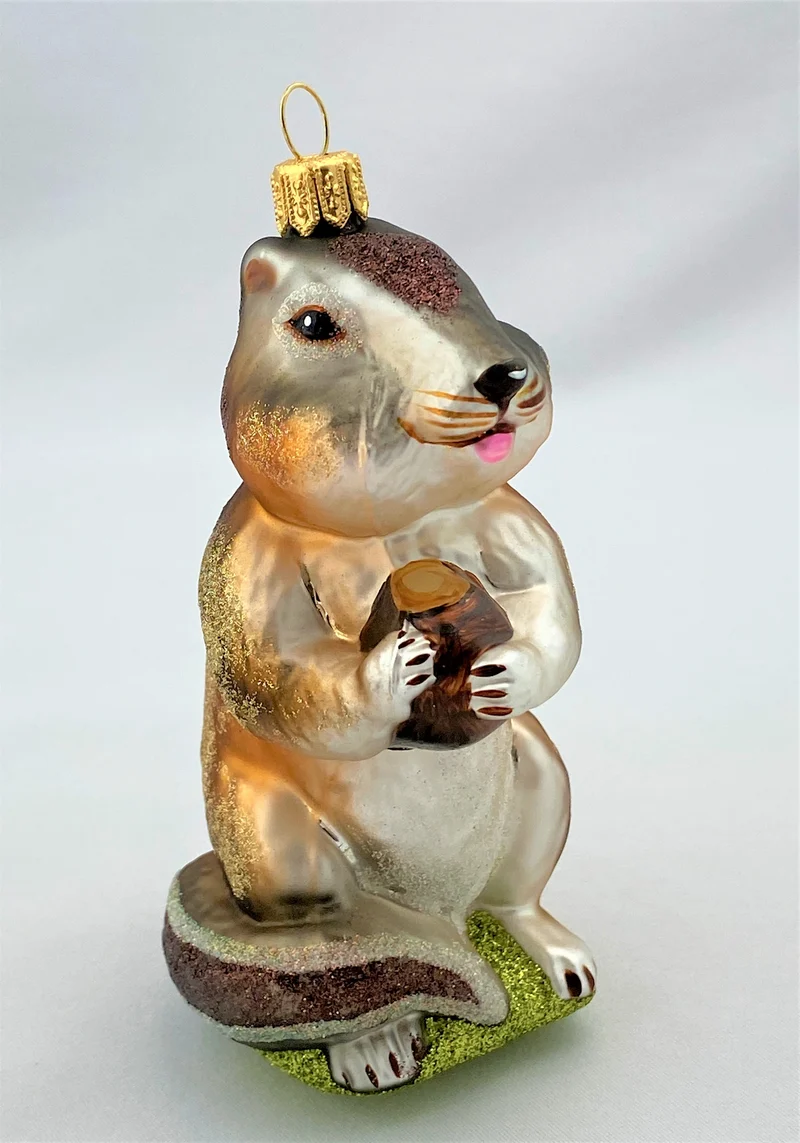 Streifenhörnchen, Chipmunk