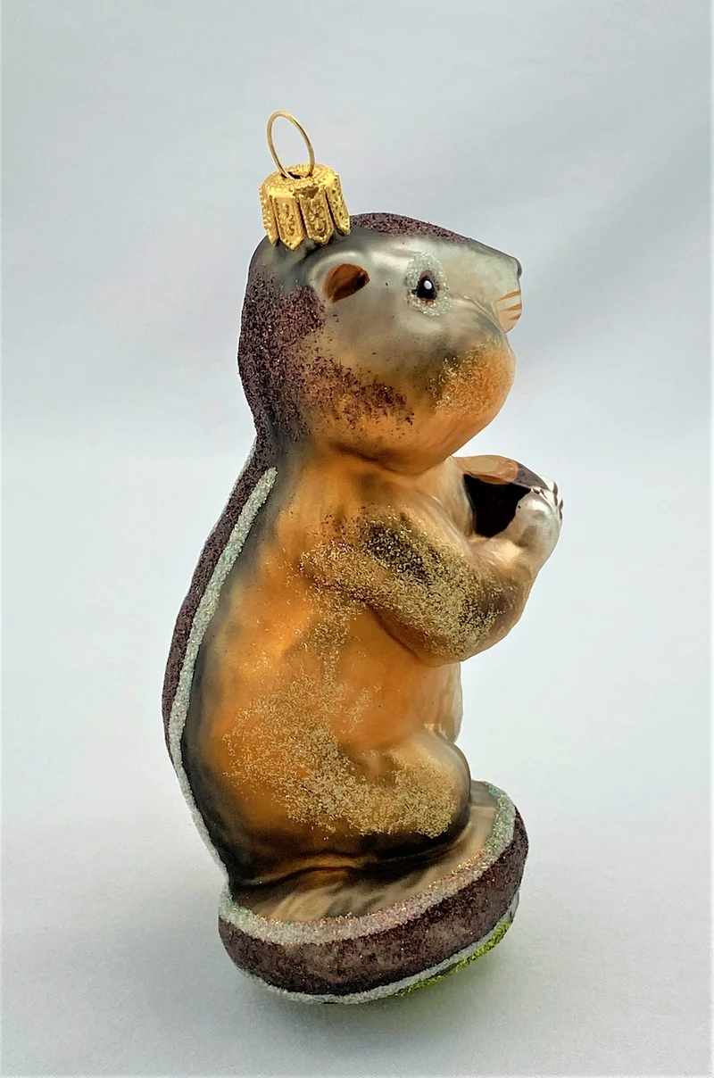 Streifenhörnchen, Chipmunk