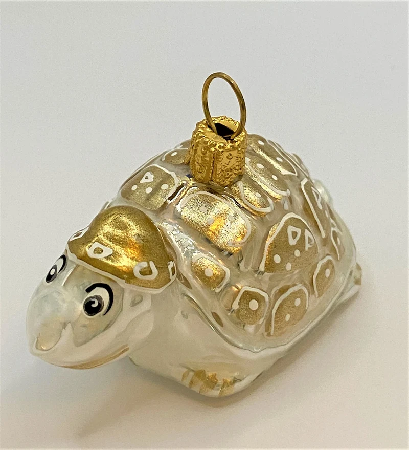 Schildkröte mit goldener Mütze