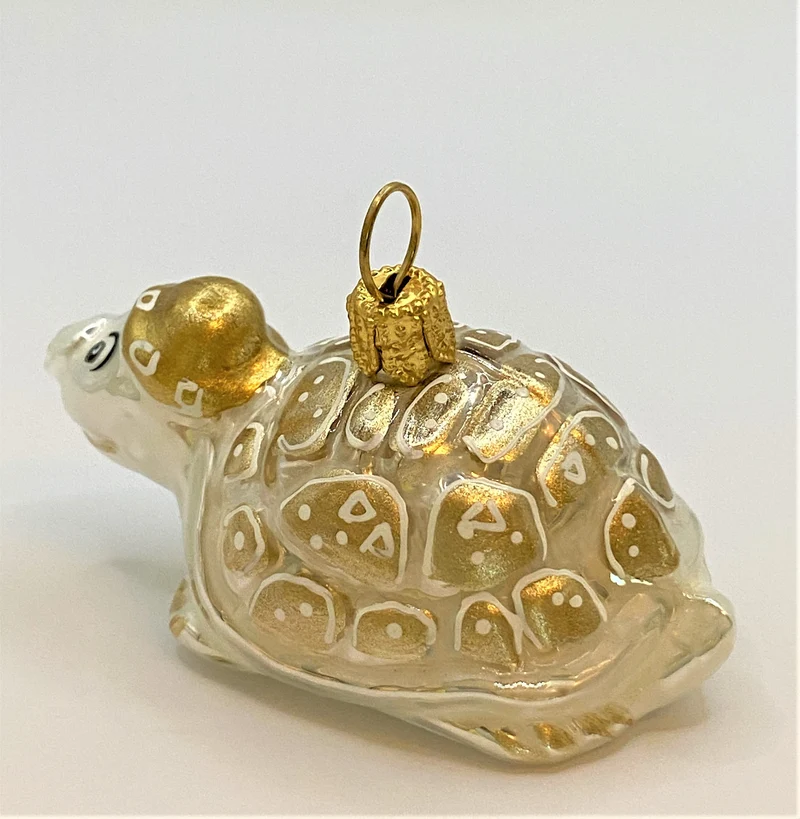Schildkröte mit goldener Mütze