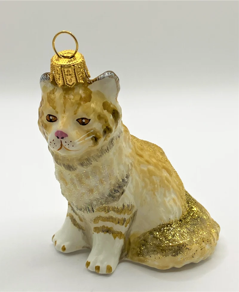 Süsse Waldkatze