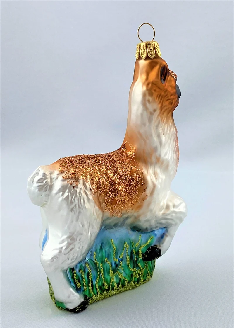 Alpaka, Lama