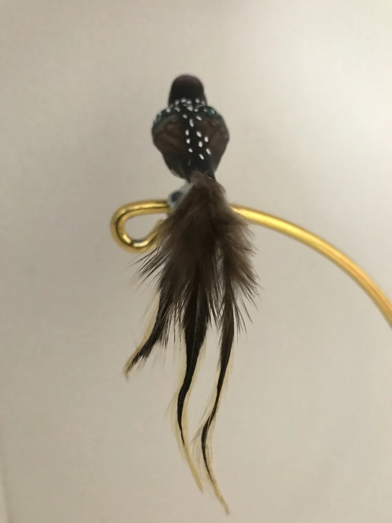 Kleiner Star