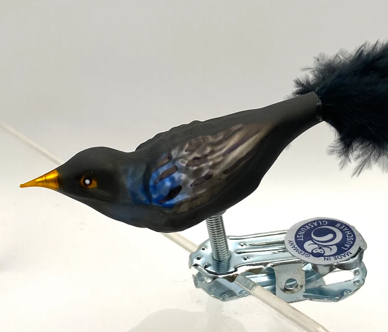 Kleine Amsel