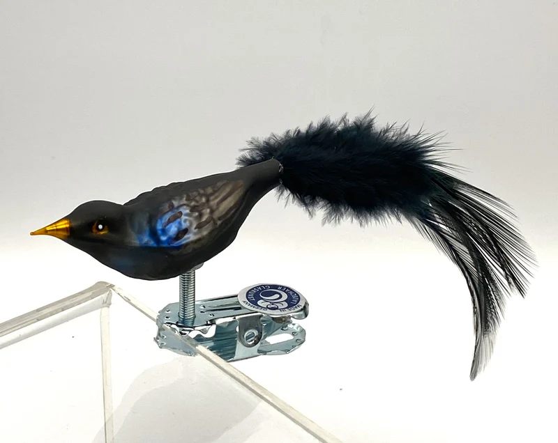 Kleine Amsel