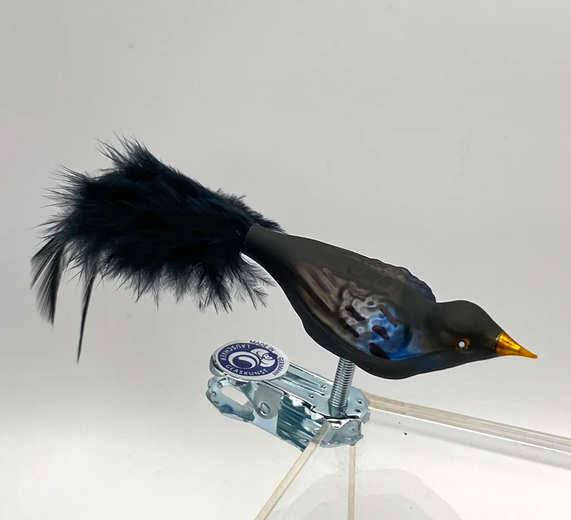 Kleine Amsel