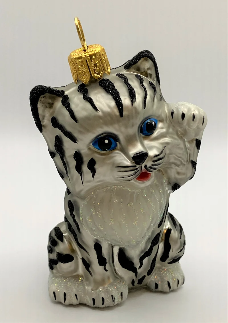 Süsse junge Tiger-Katze