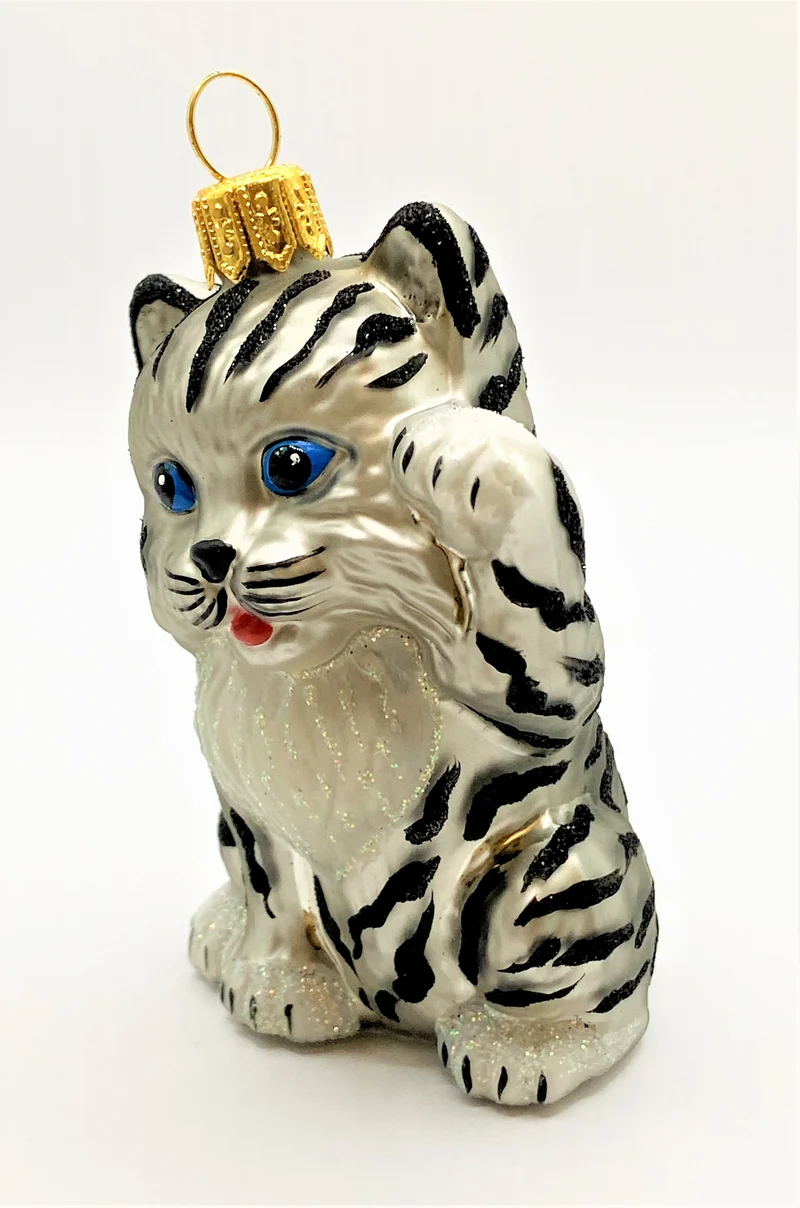 Süsse junge Tiger-Katze