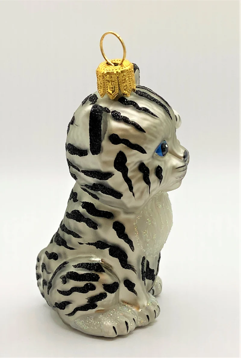 Süsse junge Tiger-Katze