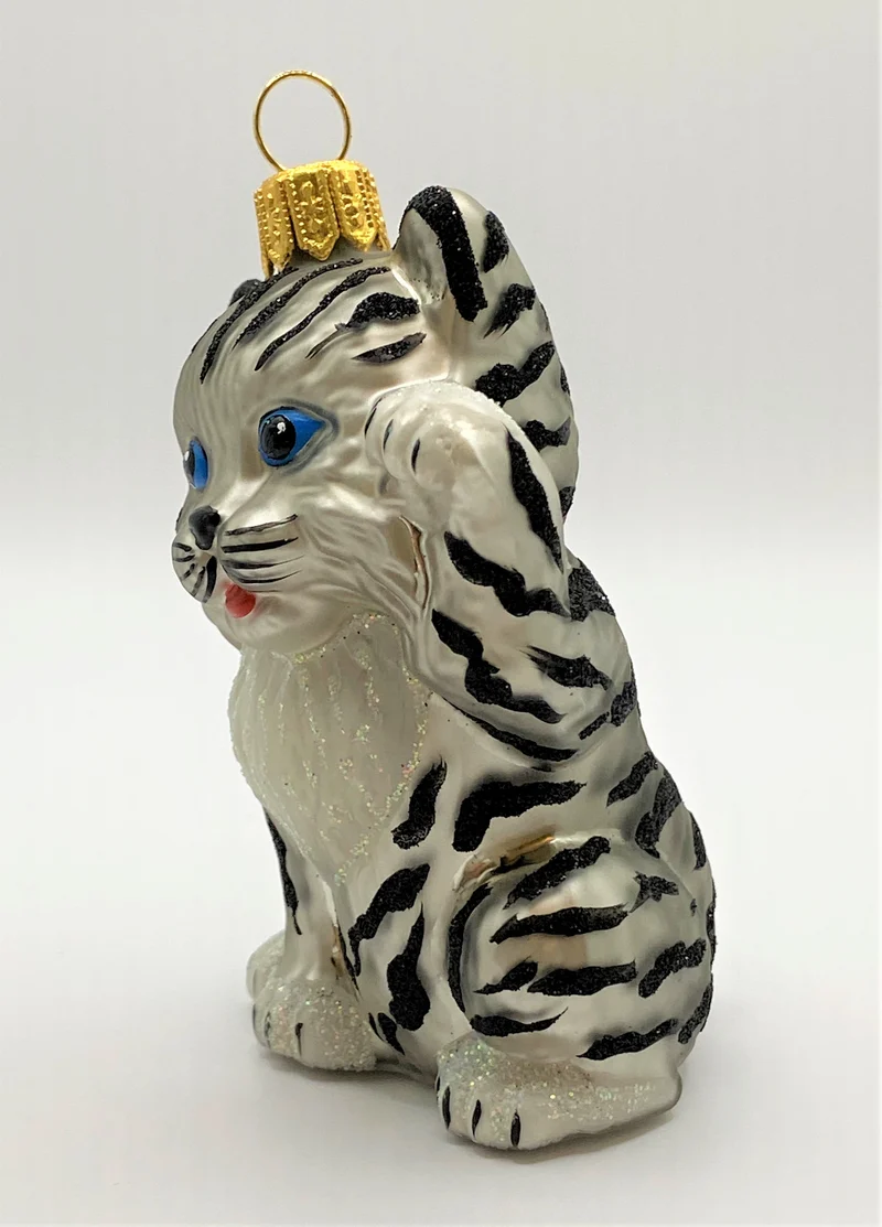 Süsse junge Tiger-Katze