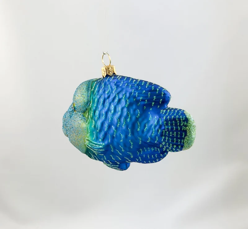 Napoleon-Fisch