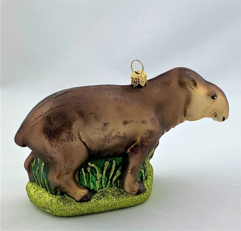 Tapir