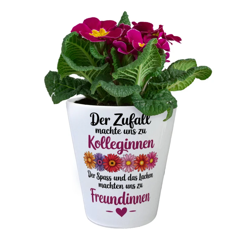 Beste Kollegin Blumentopf mit Spruch nicht nur Kolleginnen sondern Freundinnen