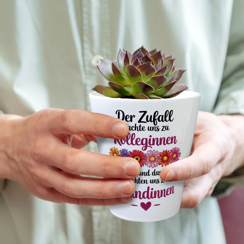 Beste Kollegin Blumentopf mit Spruch nicht nur Kolleginnen sondern Freundinnen