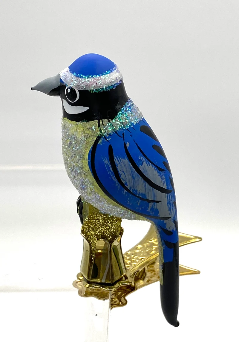 Kleine Blaumeise auf Clip