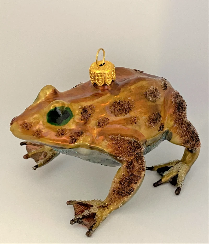 Grosse Kröte