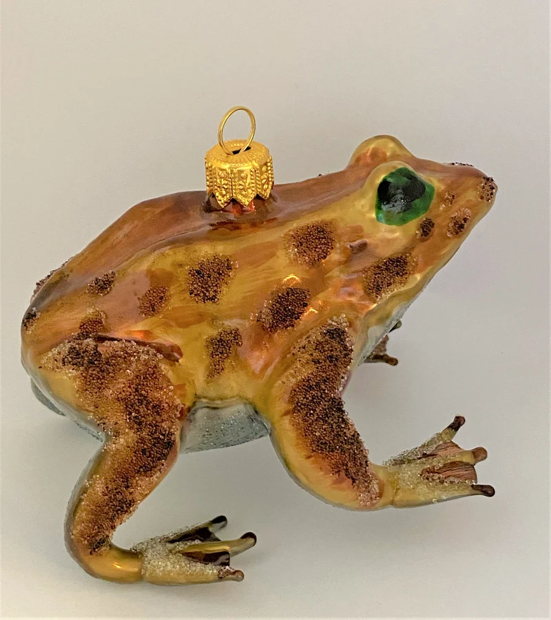 Grosse Kröte