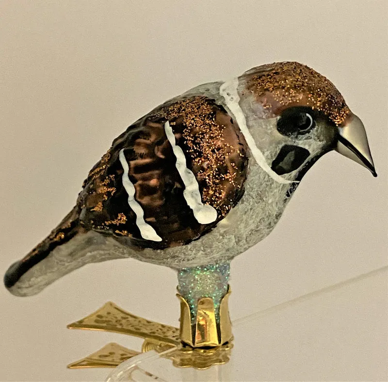 Spatz auf Clip