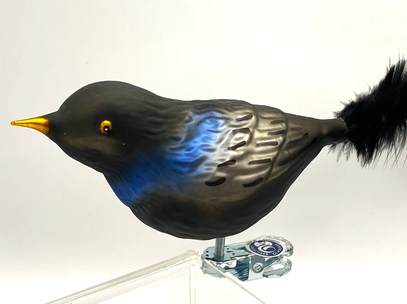 Amsel